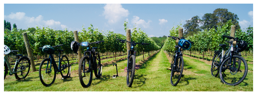 Wine e-MTB