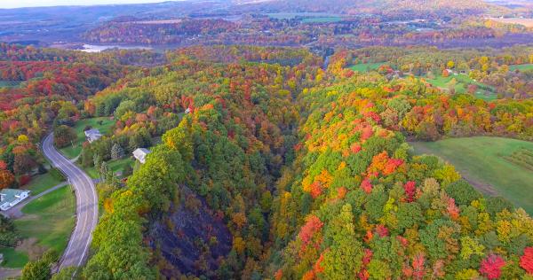 Scenic Fall Leaves and Landscape above Highland Forest