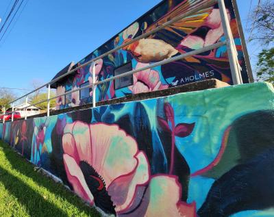 Bird mural on a wall and retaining wall - painted by Andrea Holmes