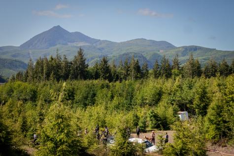 Klootchy Creek Mountain Biking Trails