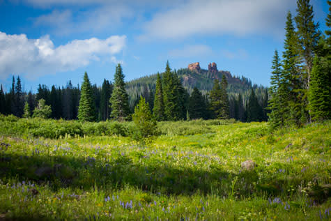 Scenic Summer Steamboat Springs