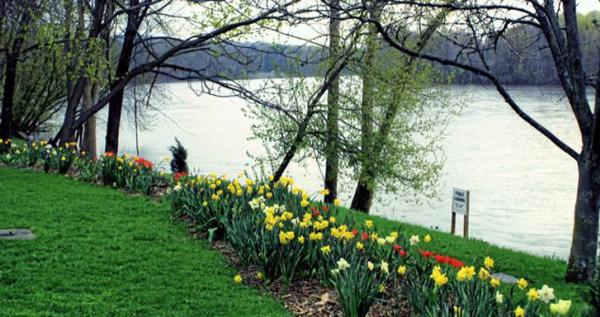 Tioga County - Spring in Tioga along the Susquehanna River