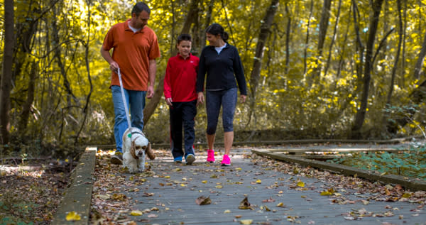 Wildwood Fall Walk