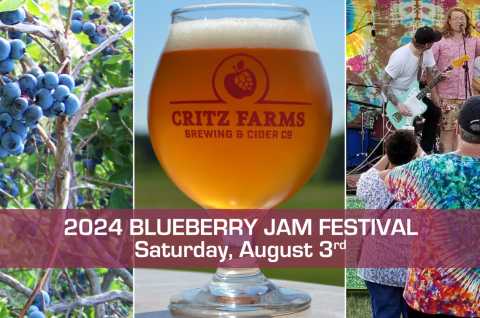 THE BLUEBERRY JAM FESTIVAL