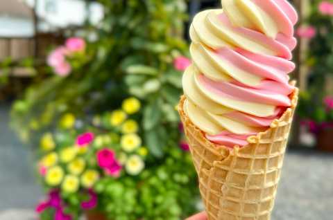 Cone-soft