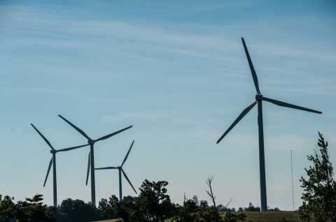 Fenner Wind Farm 1