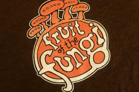 Fruit of the Fungi Logo