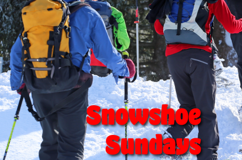 Snowshoe Sundays