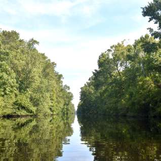 Dismal Swamp Canal