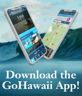 Download the GoHawaii App