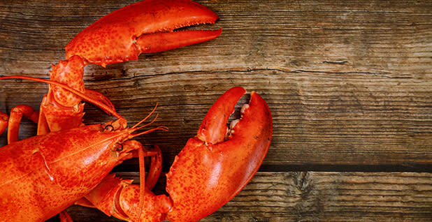 A lobster on a wooden table