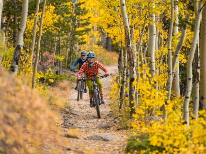 Mountain Bike Golden Trails in Fall