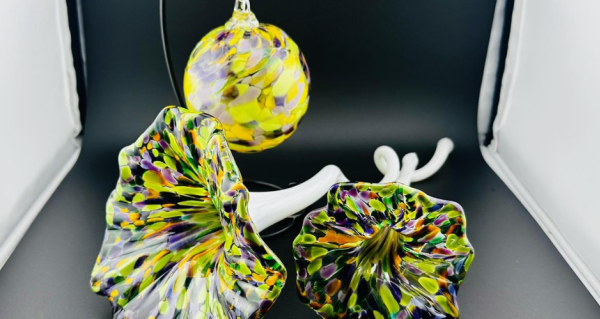 high gravity mardi gras