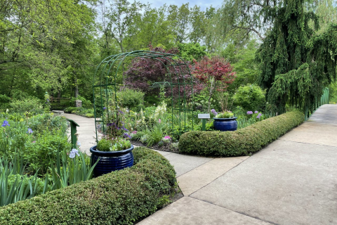 Garden at OP Arboretum