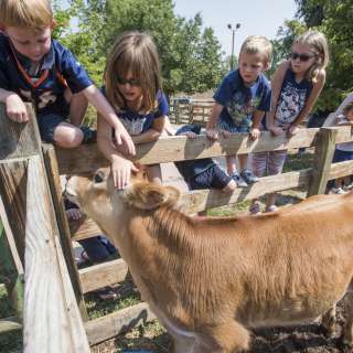 Family Fun Outdoors Visit Fort Collins