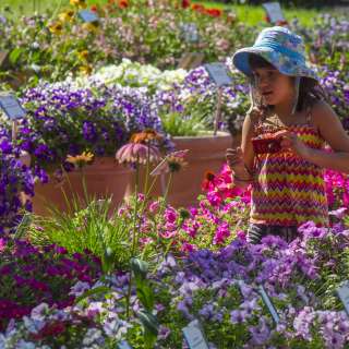 CSU Trial Garden