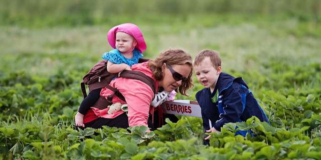Joe Huber's Family Farm
