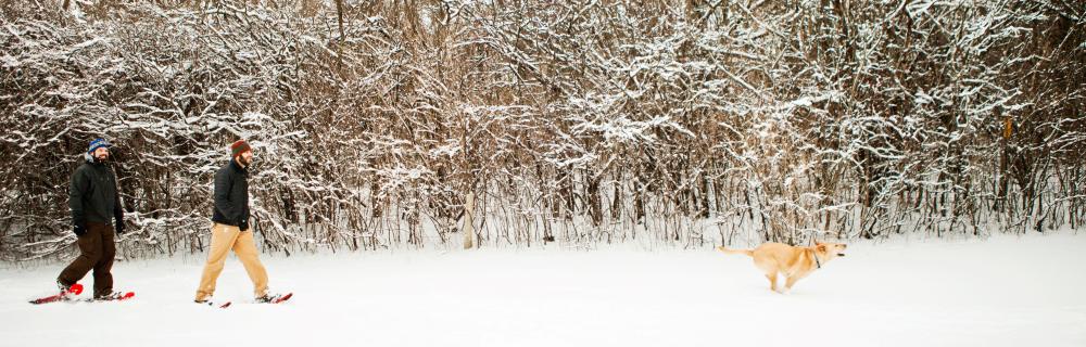 Couple snowshoeing with their dog