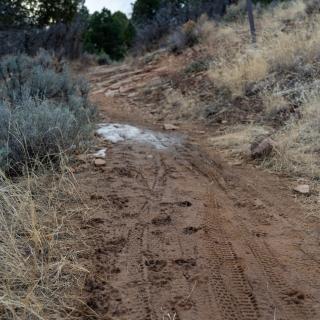 Muddy Trails During Spring at Horse Gulch