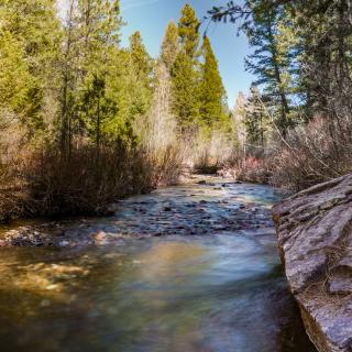 Colorado Trail During Spring