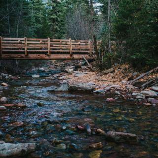 Bridge Over Junction Creek on the Colorado Trail During Fall