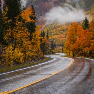 Fall Colors on Highway 550