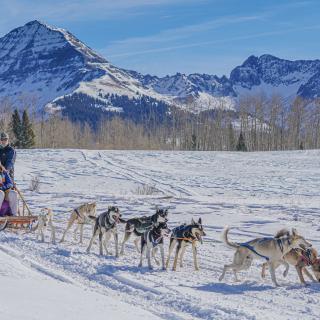 Dog Sledding with Durango Dog Ranch During Winter