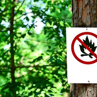 Fire Restrictions