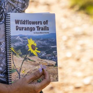 Wildflowers of Durango Trails