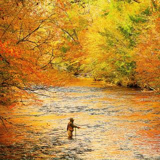 Fall Fishing on the Animas River