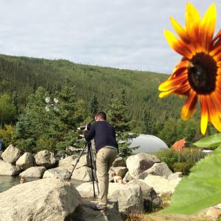 Flower and photographer at Chena Hot Springs Resort