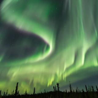 a panoramic view of a sky filled with northern lights