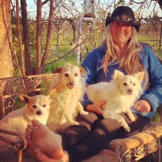 three little dogs sit on the lap of a woman on a lounge chair outside