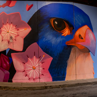 Beak & Blooms Mural