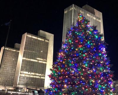 Holiday Tree at Empire State Plaza