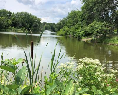 Buckingham Pond