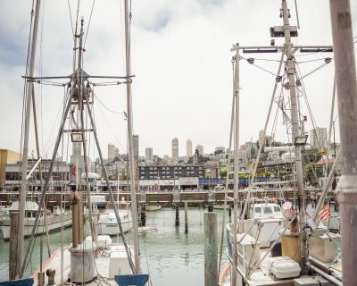 Fish Off the Boat & Dungeness Crab | SF Fresh Fish & Crab at the Wharf