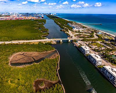 Mangroves south of Port Everglades.