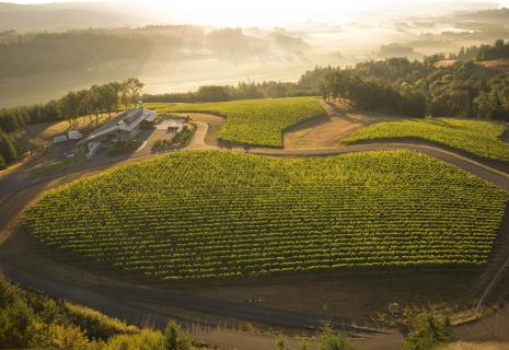 Willamette Valley Pinot Noir — Depoe Bay Winery