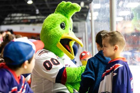 Kalamazoo Wings