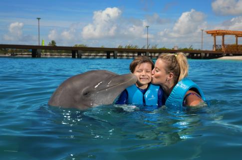 nado-con-delfines-playa-mujeres-1