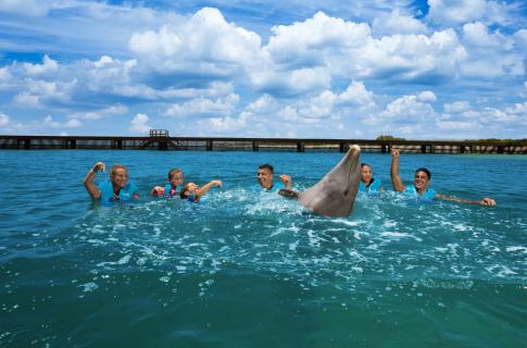 nado-con-delfines-playa-mujeres-2