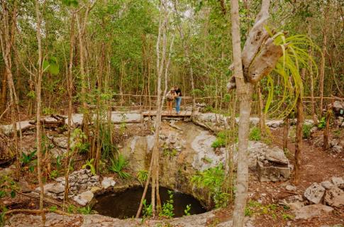 Mayan Cenote