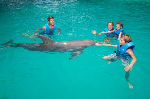 nado-con-delfines-2
