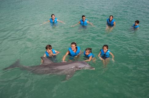 nado-con-delfines-puerto-morelos-4