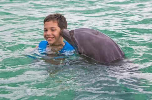 nado-con-delfines-puerto-morelos-2