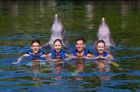 nado-con-delfines-riviera-maya-3