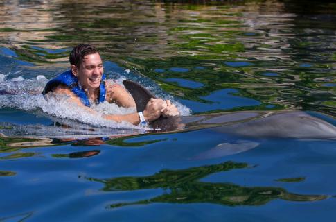 nado-con-delfines-riviera-maya-2
