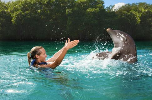 nado-con-delfines-xelha-1