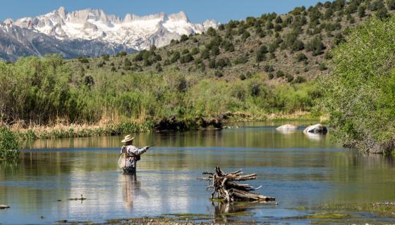 24x10 fly fishing walker river header